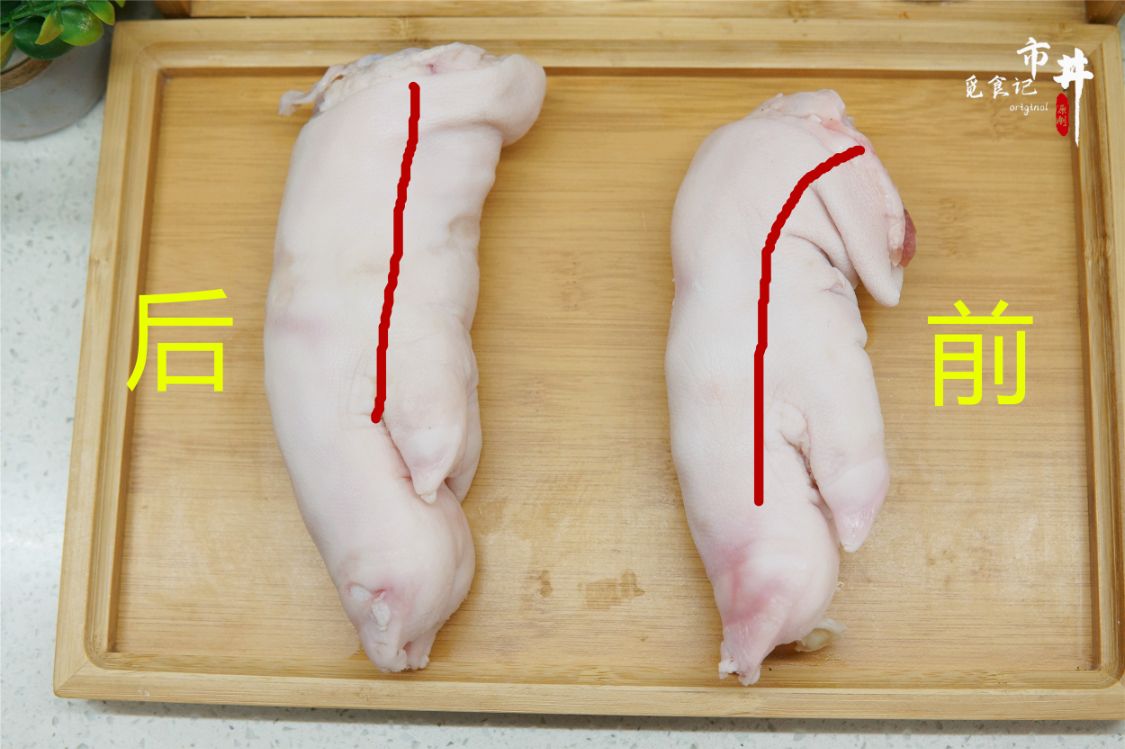 �����㣬���ܷ��塰ǰ�㡱�͡����㡱��4����������ԣ������