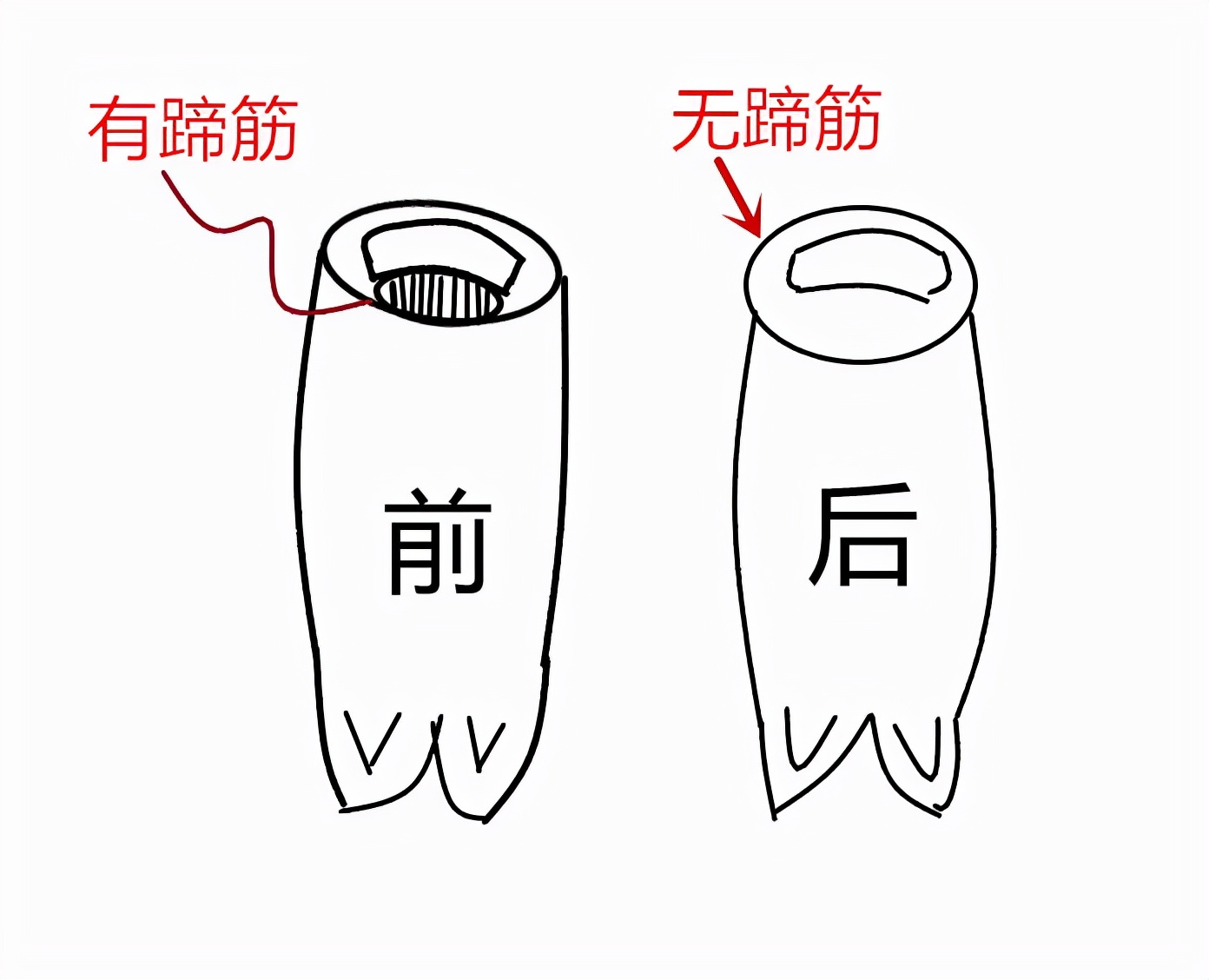 �����㣬���ܷ��塰ǰ�㡱�͡����㡱��4����������ԣ������