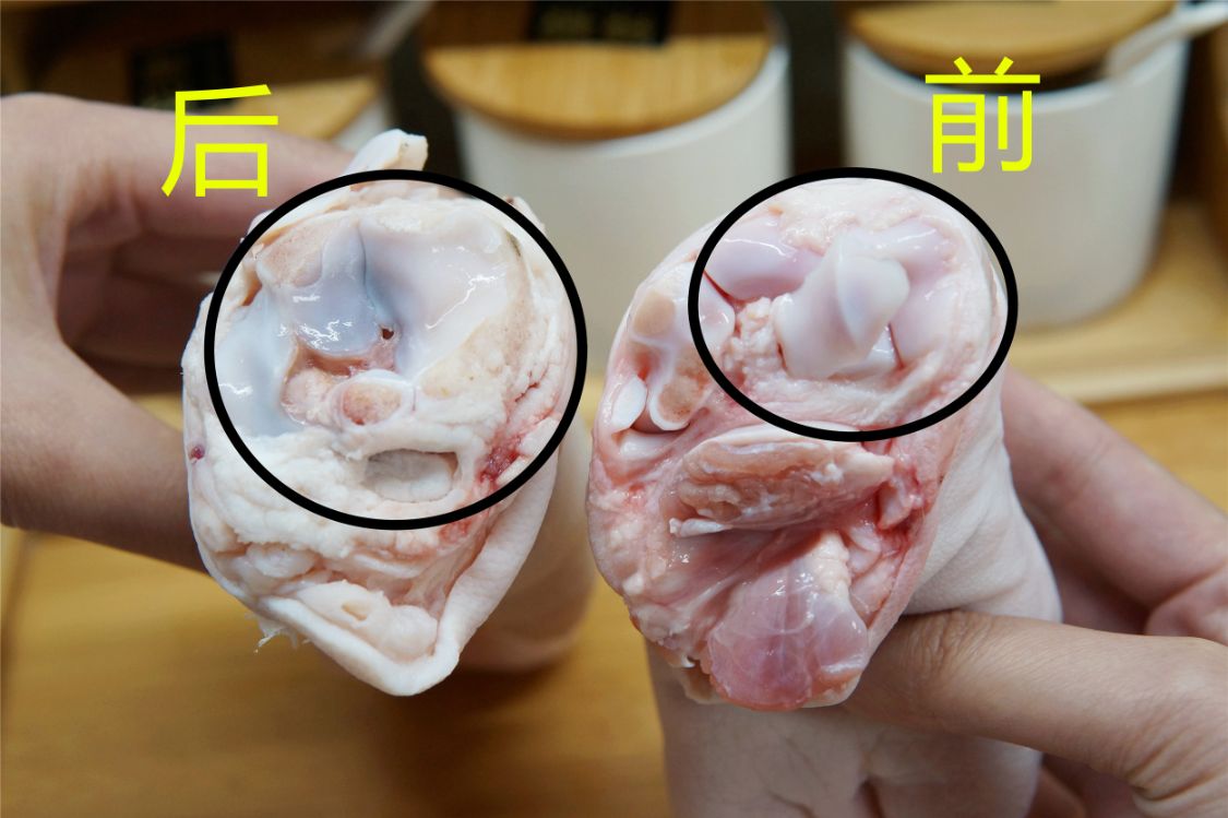 �����㣬���ܷ��塰ǰ�㡱�͡����㡱��4����������ԣ������