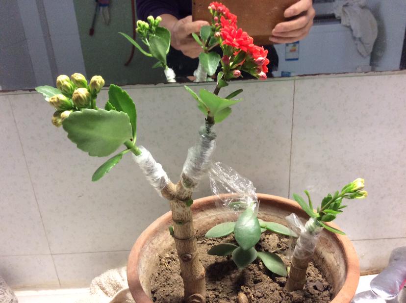 ������������11�ֻ�������Ԣ��ã�Խ��ԽֵǮ