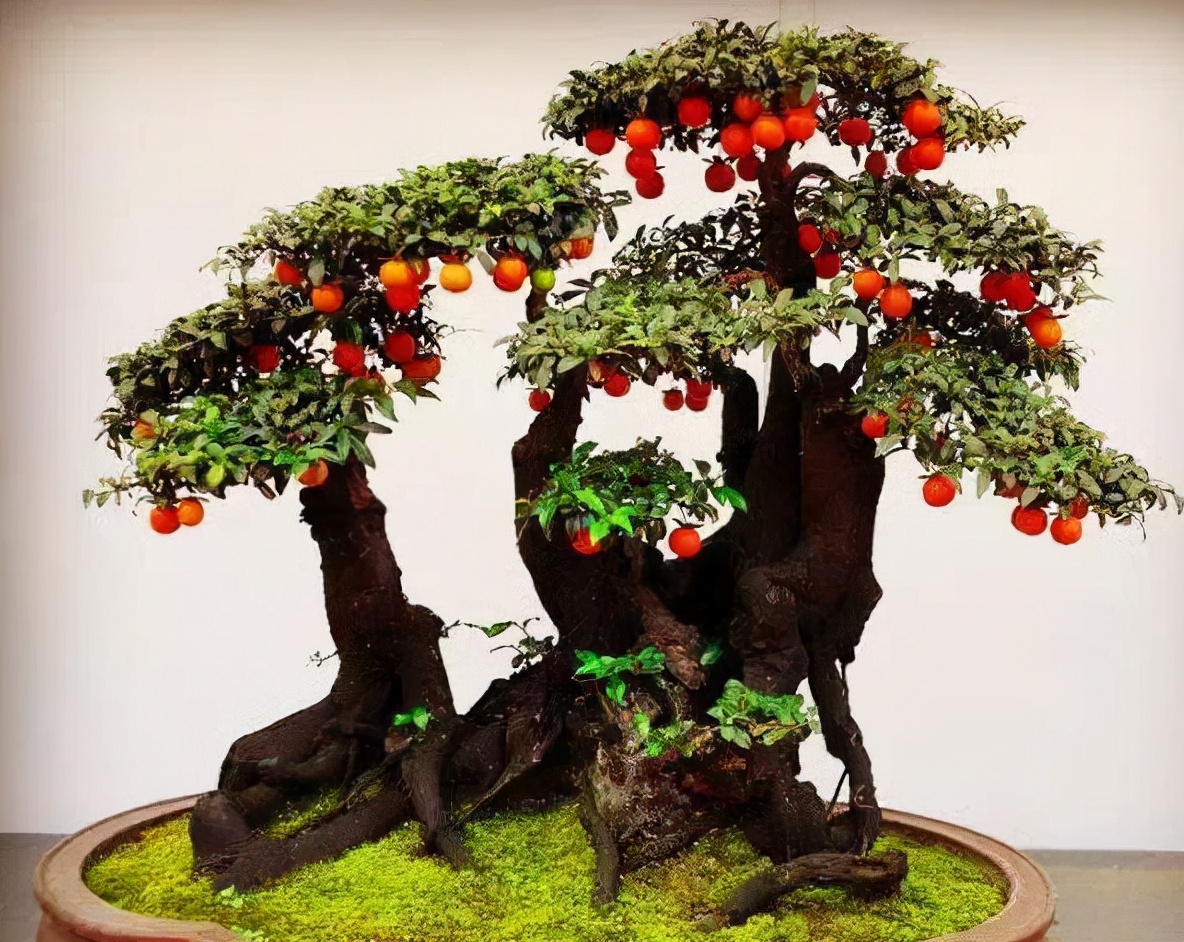 ������������11�ֻ�������Ԣ��ã�Խ��ԽֵǮ