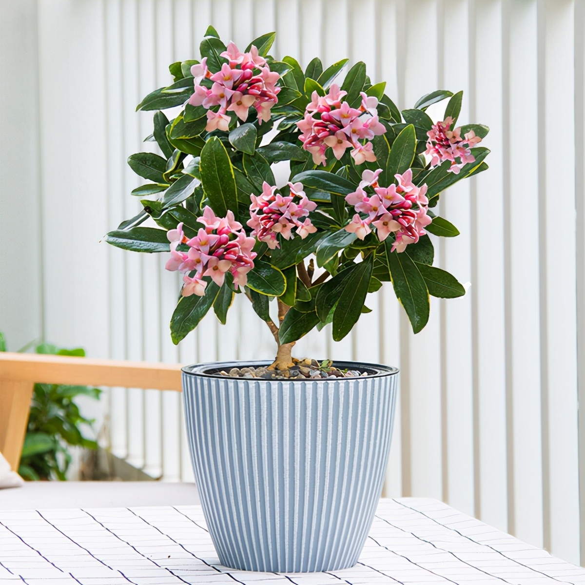 ������������11�ֻ�������Ԣ��ã�Խ��ԽֵǮ