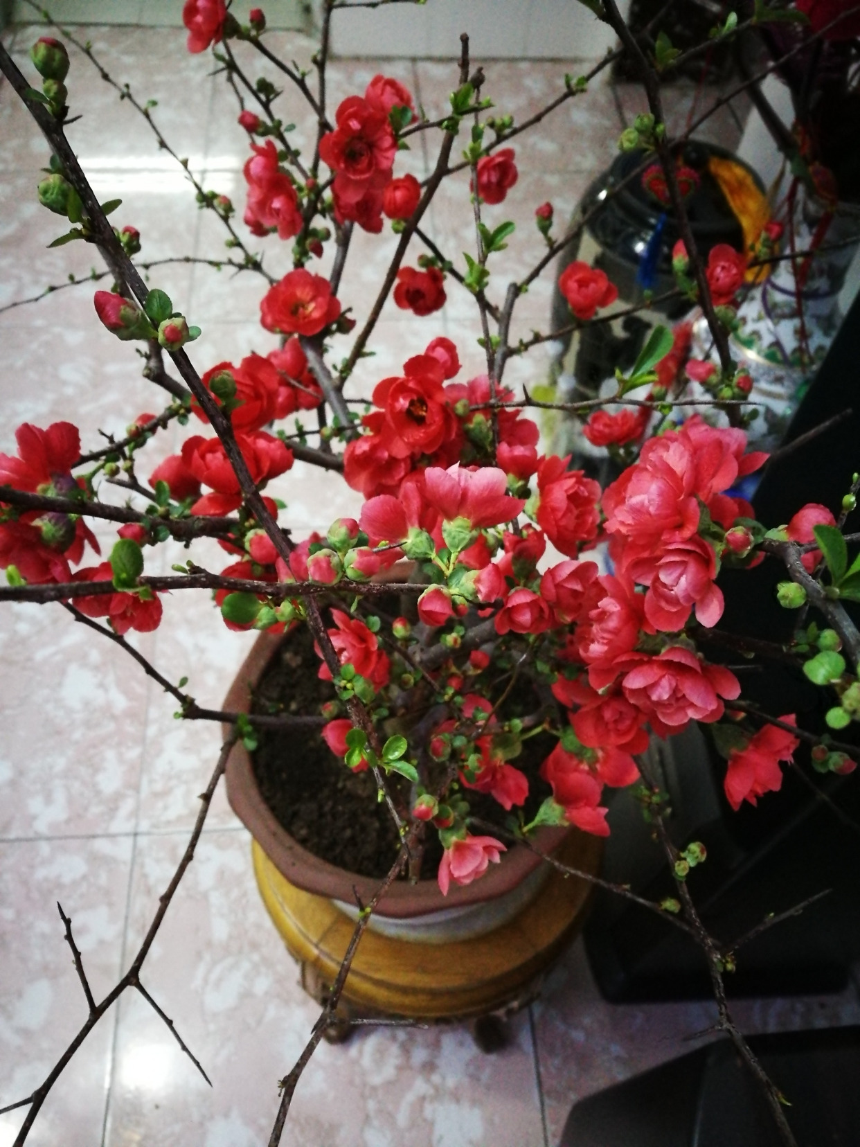 ������������11�ֻ�������Ԣ��ã�Խ��ԽֵǮ