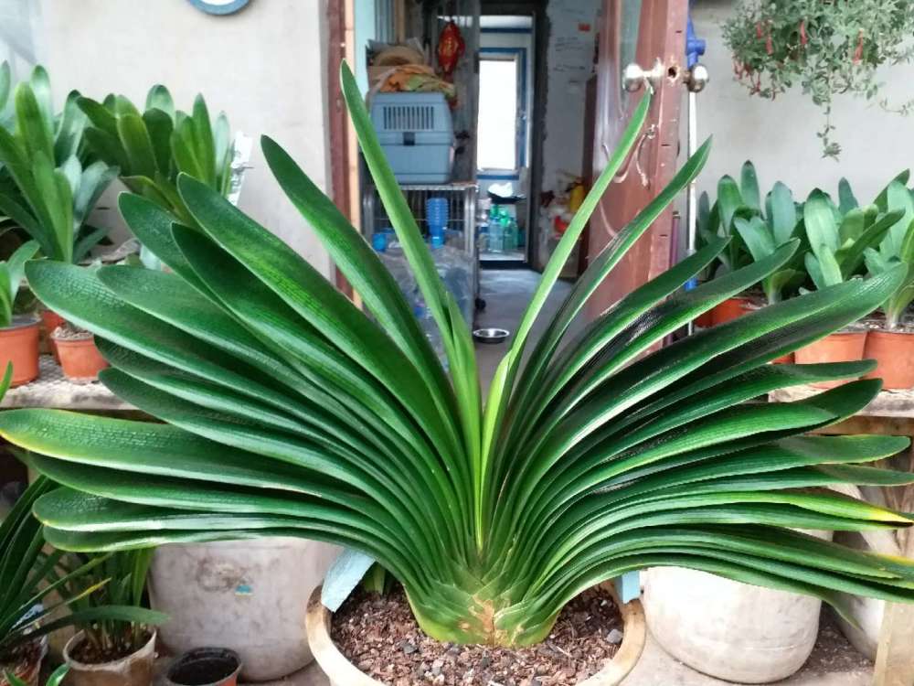 ������������11�ֻ�������Ԣ��ã�Խ��ԽֵǮ