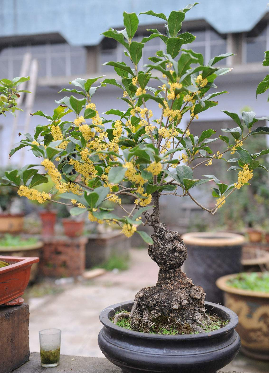 ������������11�ֻ�������Ԣ��ã�Խ��ԽֵǮ