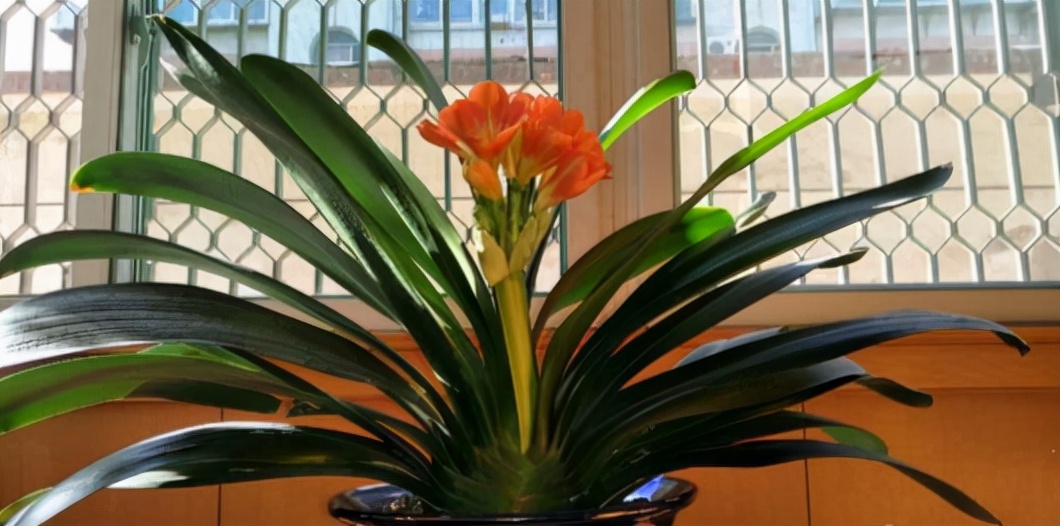 ������������11�ֻ�������Ԣ��ã�Խ��ԽֵǮ