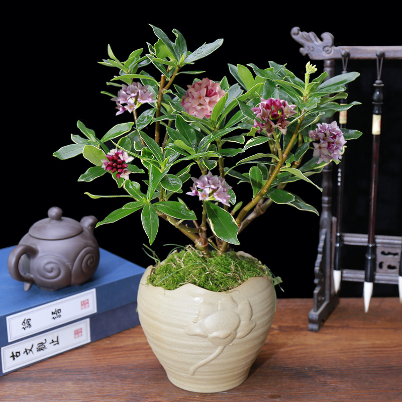 ������������11�ֻ�������Ԣ��ã�Խ��ԽֵǮ