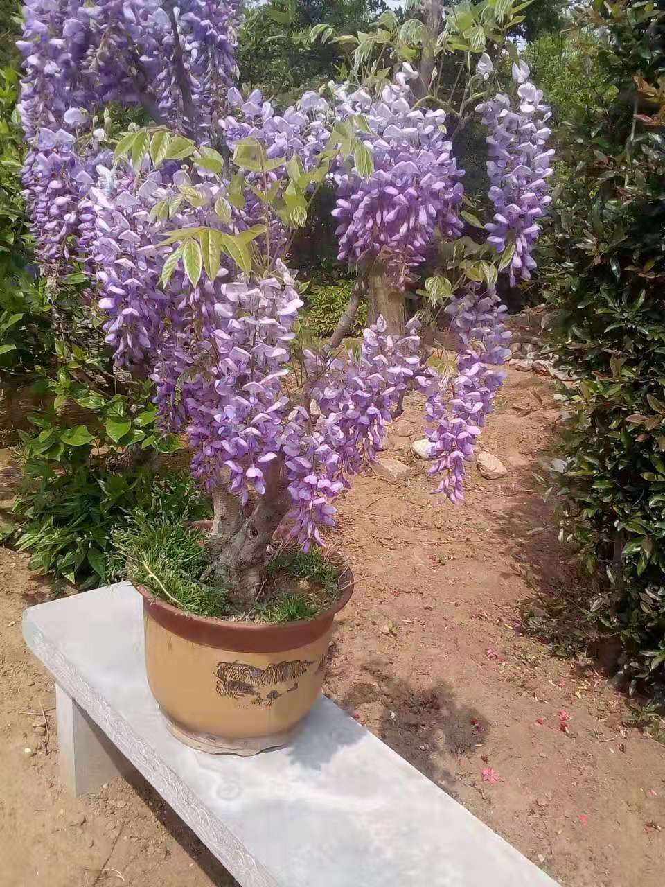 ������������11�ֻ�������Ԣ��ã�Խ��ԽֵǮ