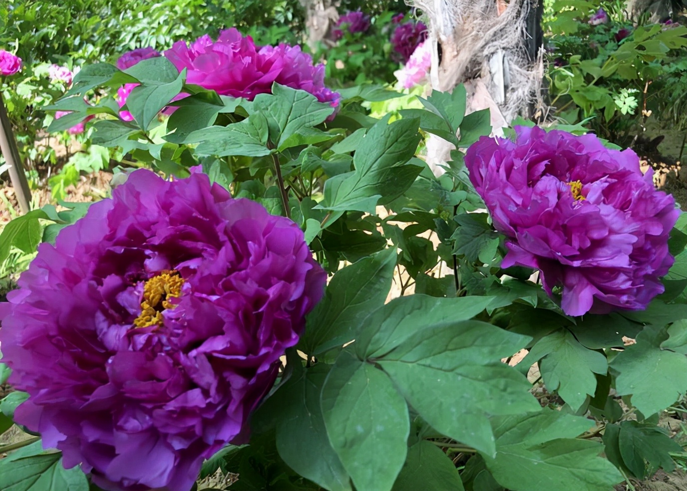 ������������11�ֻ�������Ԣ��ã�Խ��ԽֵǮ