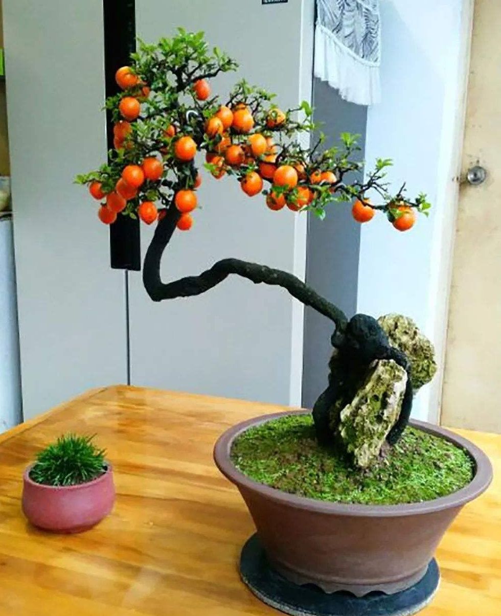 ������������11�ֻ�������Ԣ��ã�Խ��ԽֵǮ