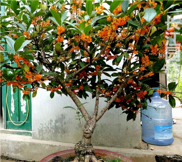 ������������11�ֻ�������Ԣ��ã�Խ��ԽֵǮ