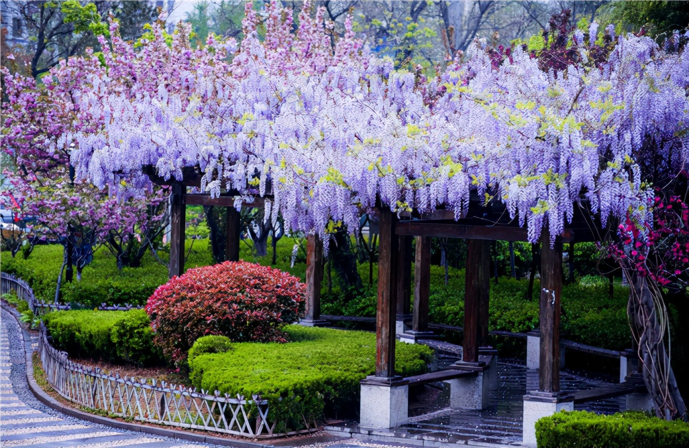 ������������11�ֻ�������Ԣ��ã�Խ��ԽֵǮ