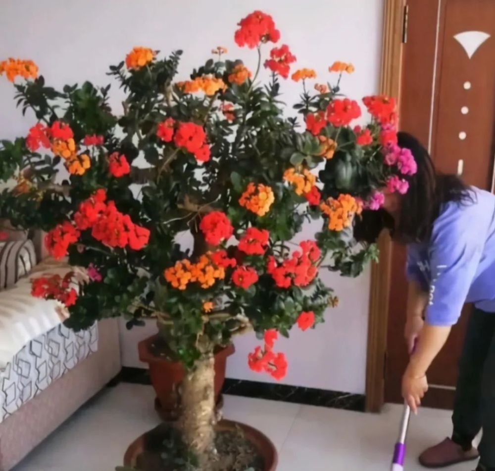 ������������11�ֻ�������Ԣ��ã�Խ��ԽֵǮ