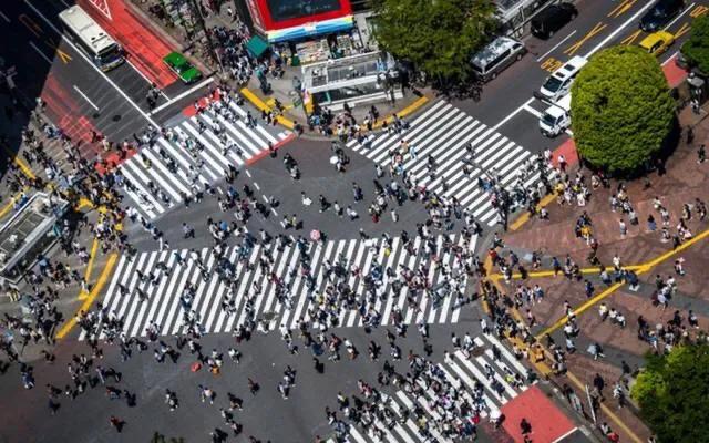 36����Ƭ�����㣬���ձ����ж�ô���ڲ�ͬ