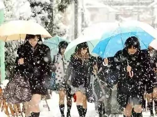 36����Ƭ�����㣬���ձ����ж�ô���ڲ�ͬ