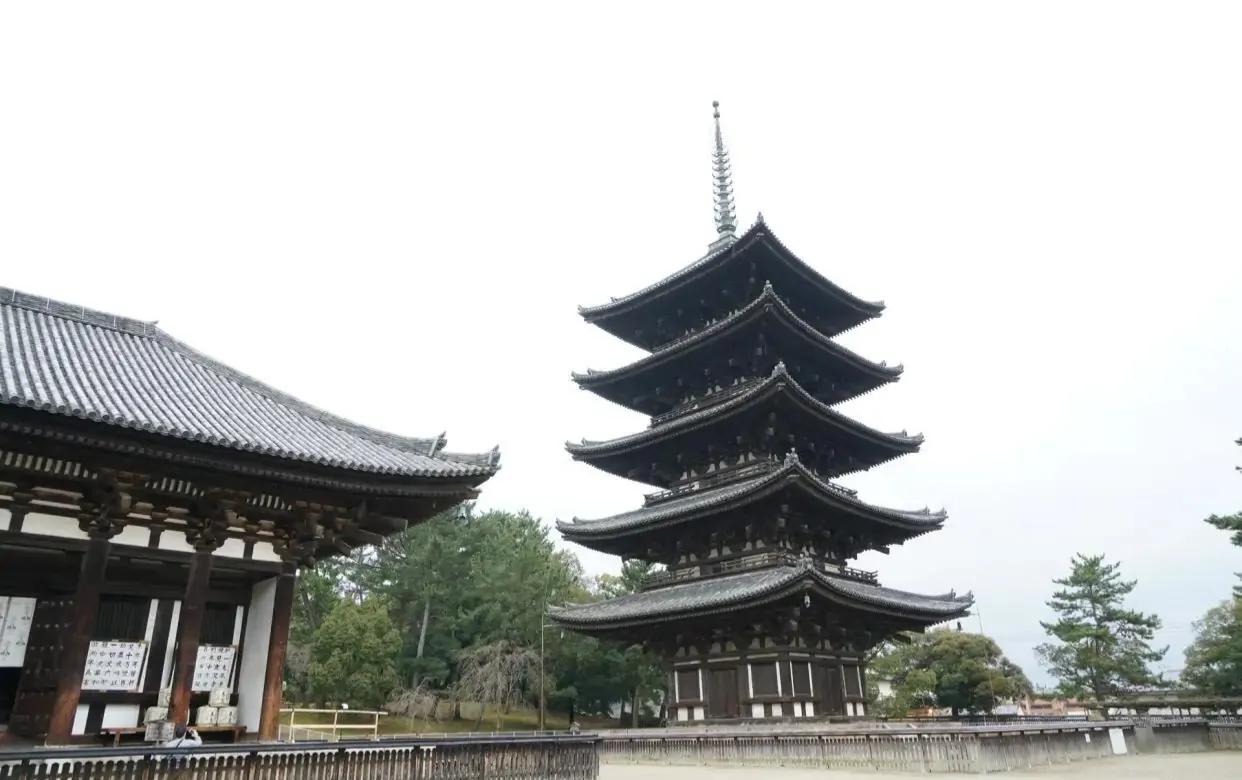 36����Ƭ�����㣬���ձ����ж�ô���ڲ�ͬ