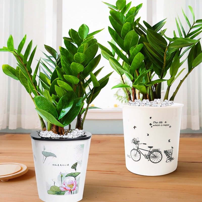 ���������������ԡ����������10������ѡ�������Ԣ��ã�������