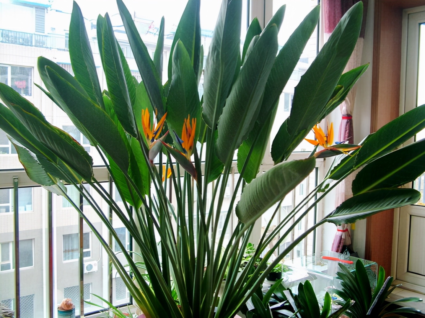 ���������������ԡ����������10������ѡ�������Ԣ��ã�������