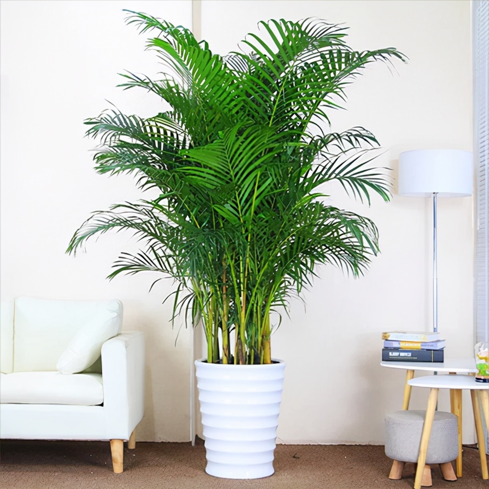 ���������������ԡ����������10������ѡ�������Ԣ��ã�������