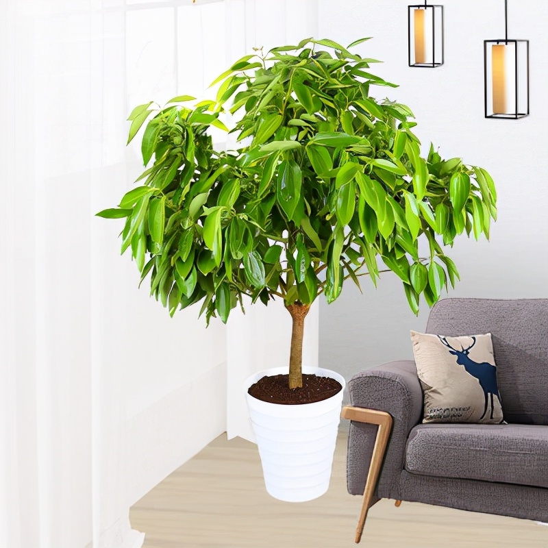 ���������������ԡ����������10������ѡ�������Ԣ��ã�������