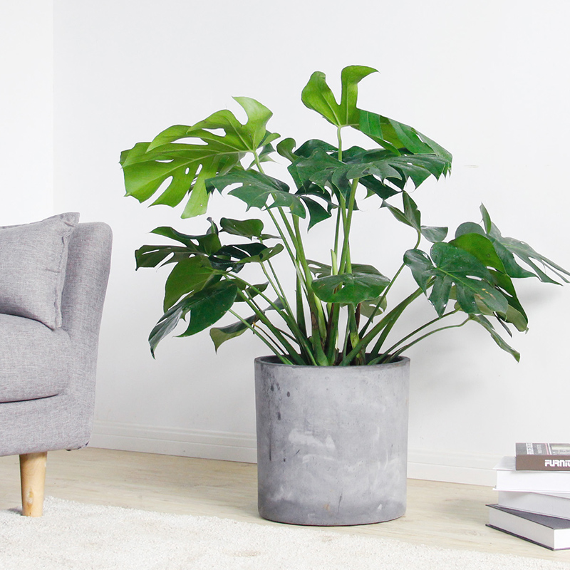 ���������������ԡ����������10������ѡ�������Ԣ��ã�������