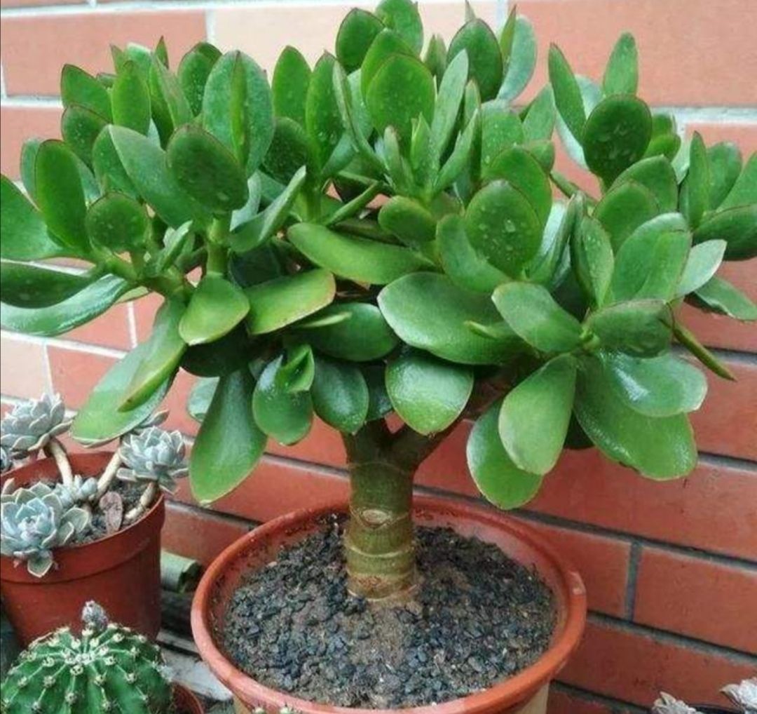 ���������������ԡ����������10������ѡ�������Ԣ��ã�������