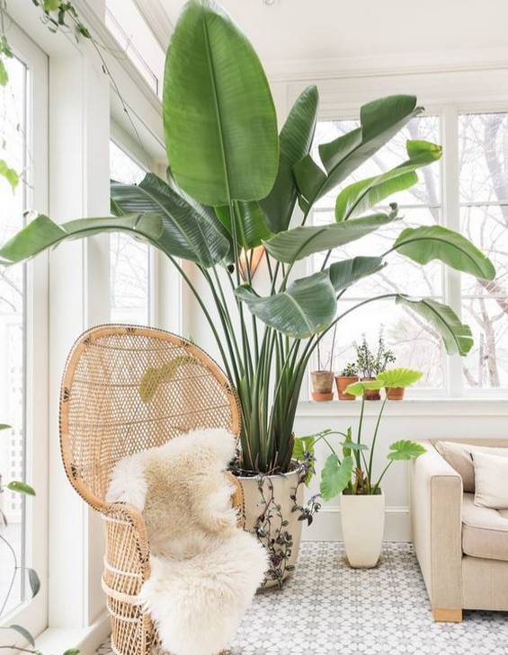 ���������������ԡ����������10������ѡ�������Ԣ��ã�������