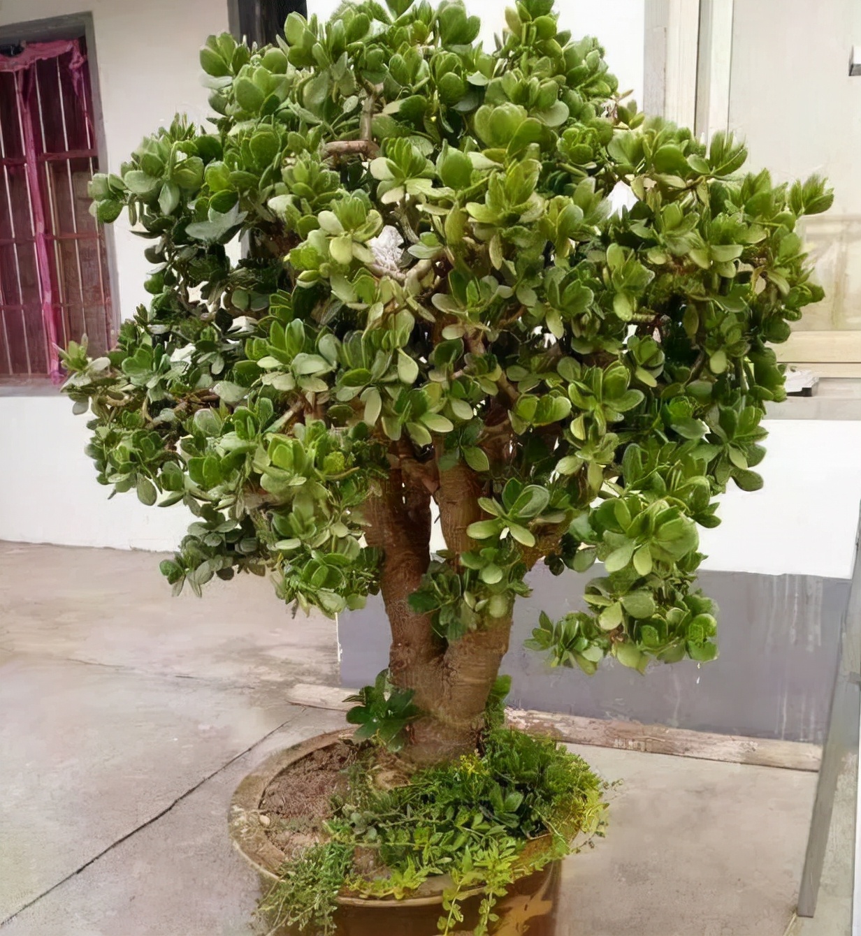 ���������������ԡ����������10������ѡ�������Ԣ��ã�������