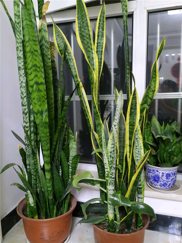 ���������������ԡ����������10������ѡ�������Ԣ��ã�������