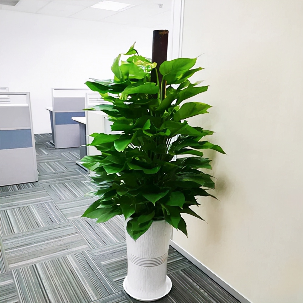 ���������������ԡ����������10������ѡ�������Ԣ��ã�������