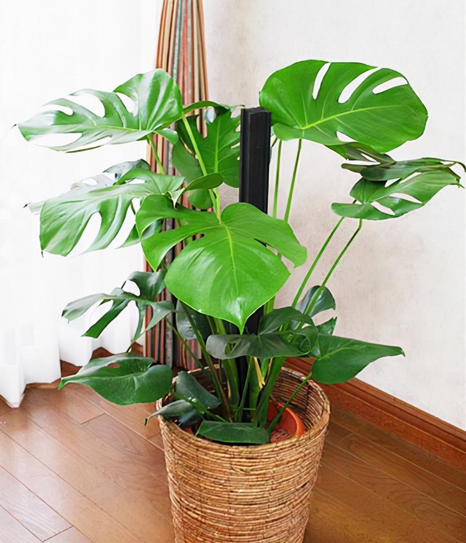 ���������������ԡ����������10������ѡ�������Ԣ��ã�������