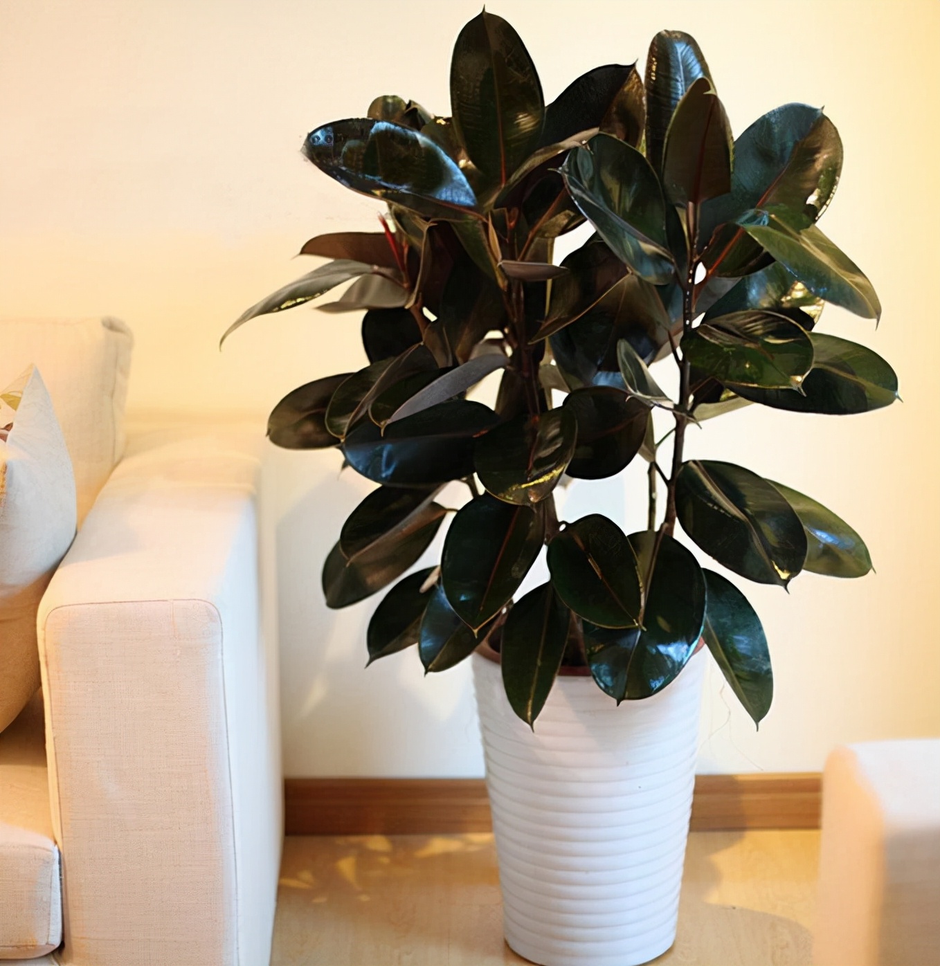 ���������������ԡ����������10������ѡ�������Ԣ��ã�������