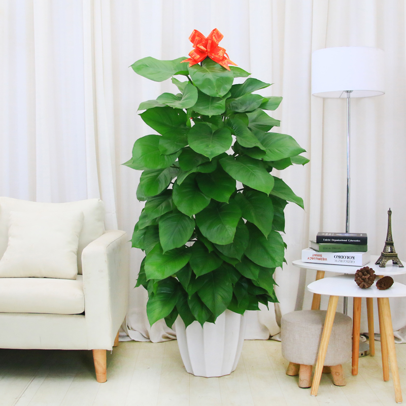 ���������������ԡ����������10������ѡ�������Ԣ��ã�������