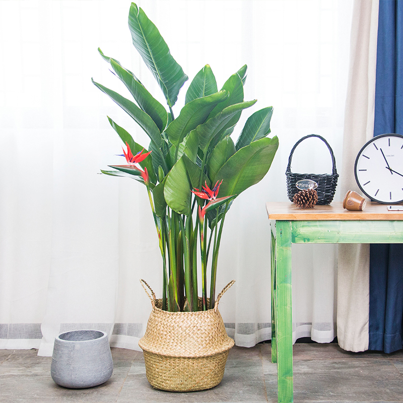 ���������������ԡ����������10������ѡ�������Ԣ��ã�������