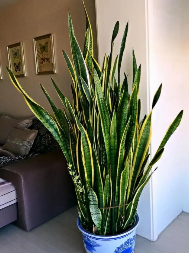 ���������������ԡ����������10������ѡ�������Ԣ��ã�������