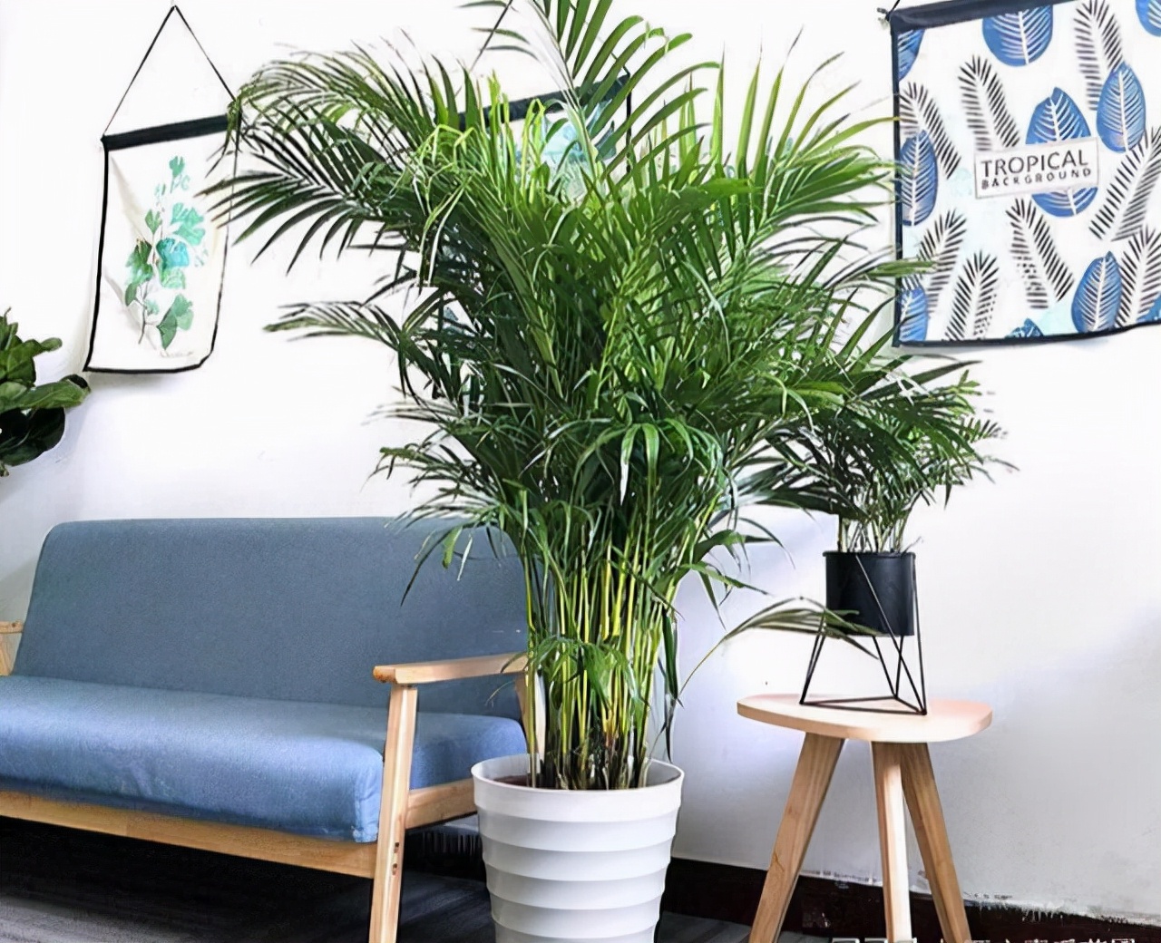 ���������������ԡ����������10������ѡ�������Ԣ��ã�������