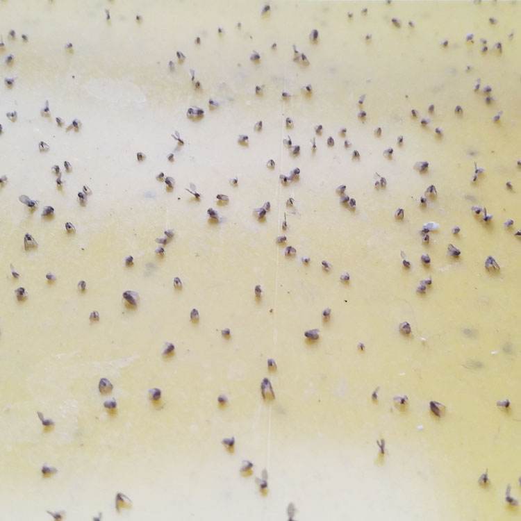 �������С�ɳ浽����ɶ������������ۣ�������Σ������������