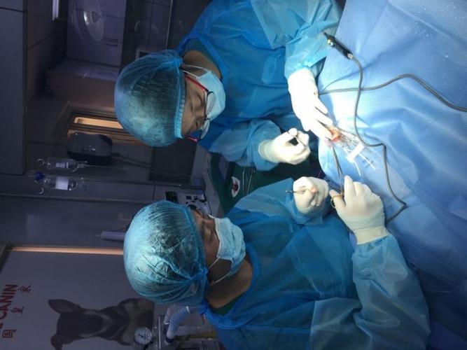 �������С�ɳ浽����ɶ������������ۣ�������Σ������������