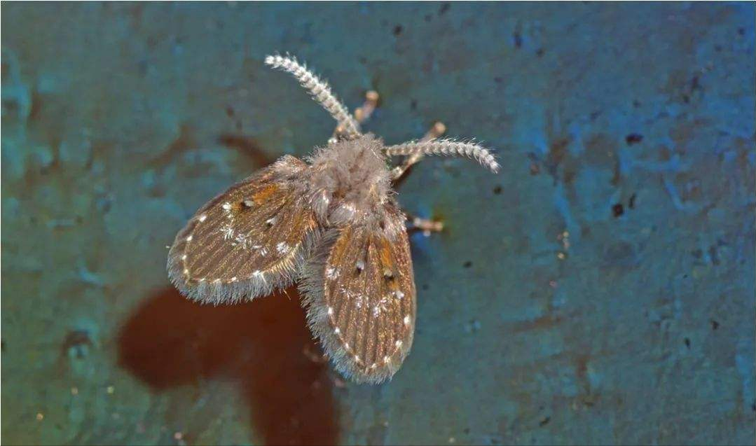 �������С�ɳ浽����ɶ������������ۣ�������Σ������������