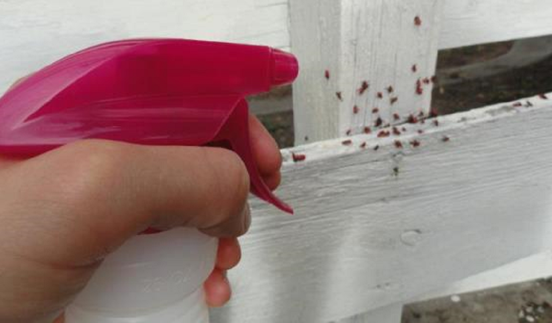 �������С�ɳ浽����ɶ������������ۣ�������Σ������������