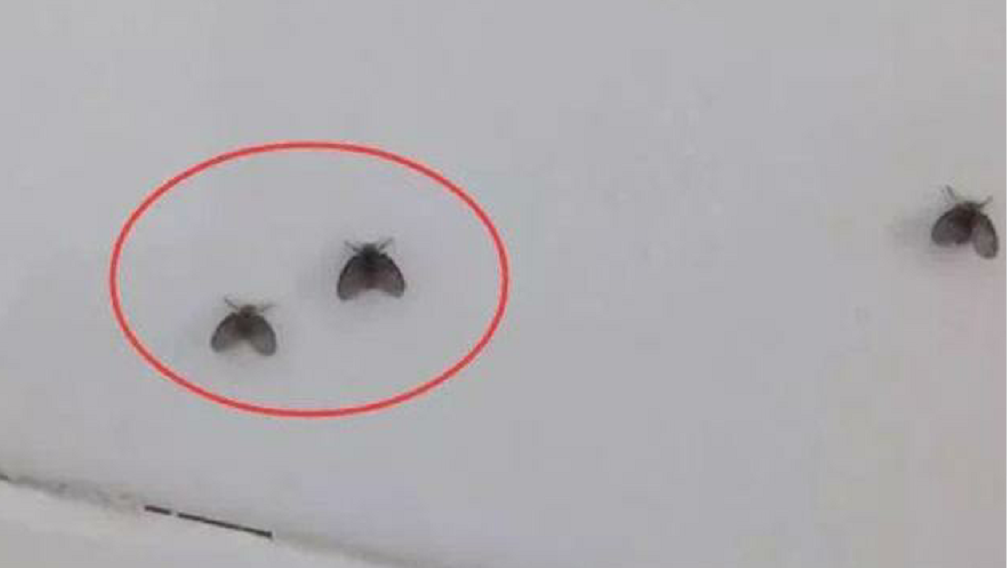 �������С�ɳ浽����ɶ������������ۣ�������Σ������������