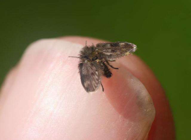 �������С�ɳ浽����ɶ������������ۣ�������Σ������������