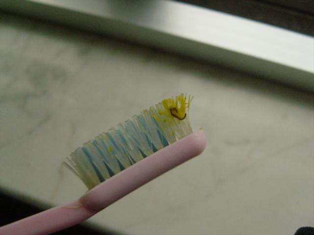 �������С�ɳ浽����ɶ������������ۣ�������Σ������������