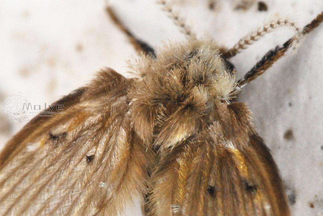 �������С�ɳ浽����ɶ������������ۣ�������Σ������������