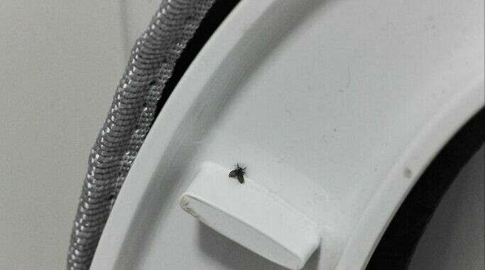 �������С�ɳ浽����ɶ������������ۣ�������Σ������������