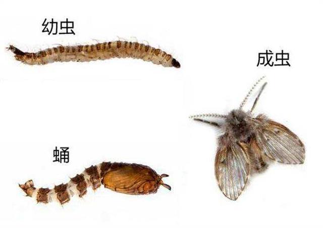 �������С�ɳ浽����ɶ������������ۣ�������Σ������������