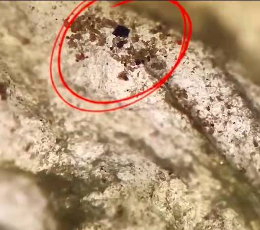 ���Ѹɵ���Ҫ��Ҫϴ����������ˮ�����о�����