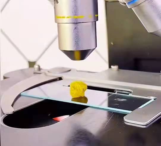 ���Ѹɵ���Ҫ��Ҫϴ����������ˮ�����о�����