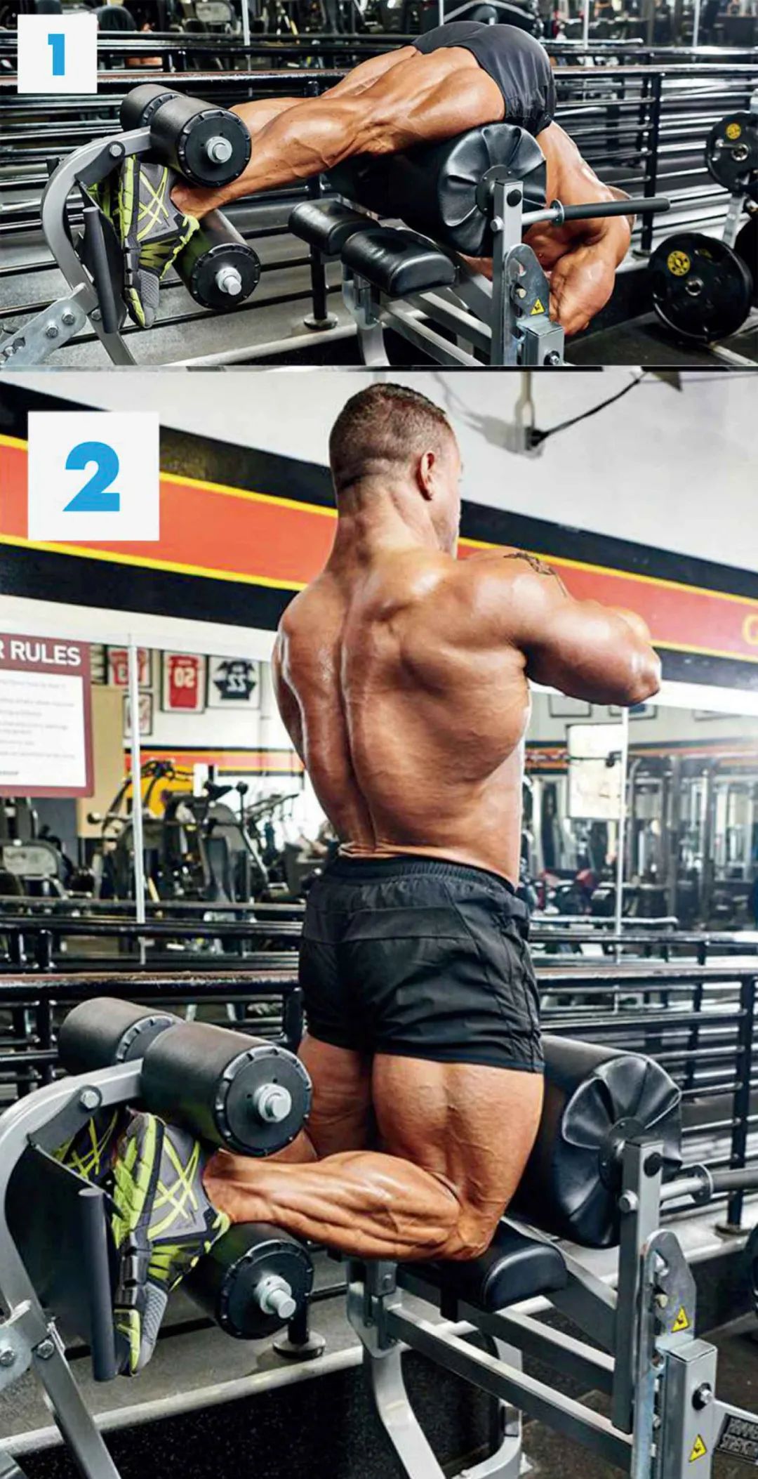 ȫ��̼������������ȱض�