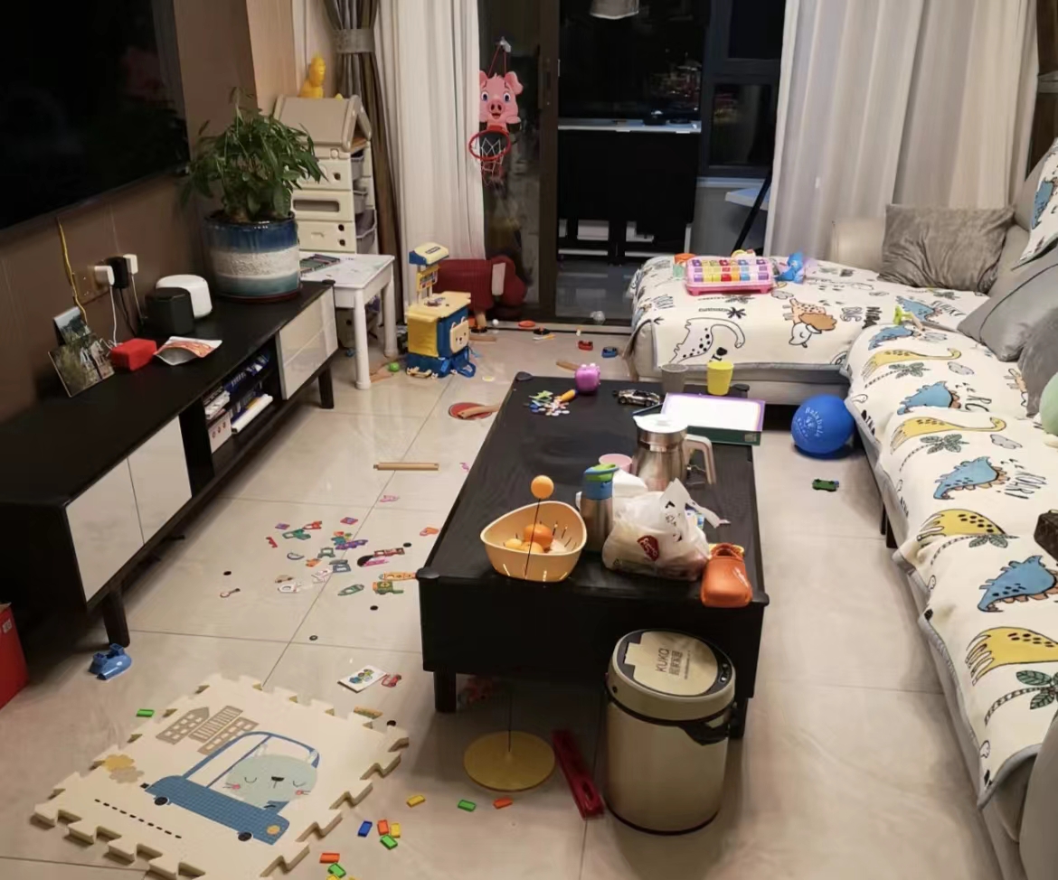 ���ڱ������������ļҾ��������ֻ�в輸